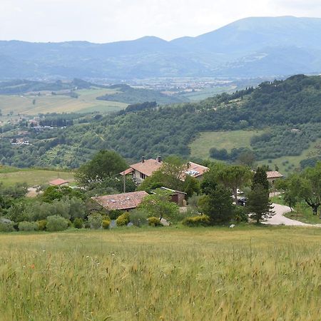 Agriturismo Terra Selvatica Valfabbrica Екстериор снимка