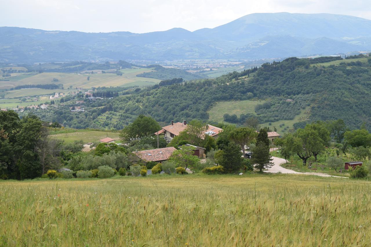 Agriturismo Terra Selvatica Valfabbrica Екстериор снимка